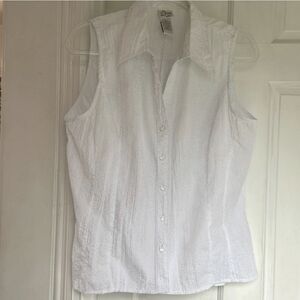 Extra large white, sparkle silver button down top